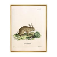 Designart 'Toprak Tonlarında Antik Tavşanlar' Çiftlik Evi Çerçeveli Tuval Duvar Sanatı Baskı