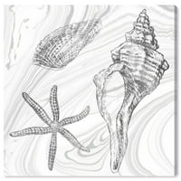 Wynwood Stüdyo Denizcilik ve Kıyı Duvar sanatı Tuval Baskılar 'Deniz Kabukları Gümüş II' Deniz Yaşamı-Siyah, Beyaz