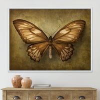 Antik kelebek toprak tonlarında çerçeveli resim tuval sanat baskı