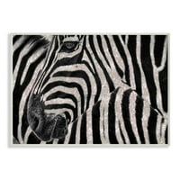 Ziwei Li tarafından Stupell Industries Glitter Zebra Glam Moda Hayvan Tasarım Duvar Plaketi